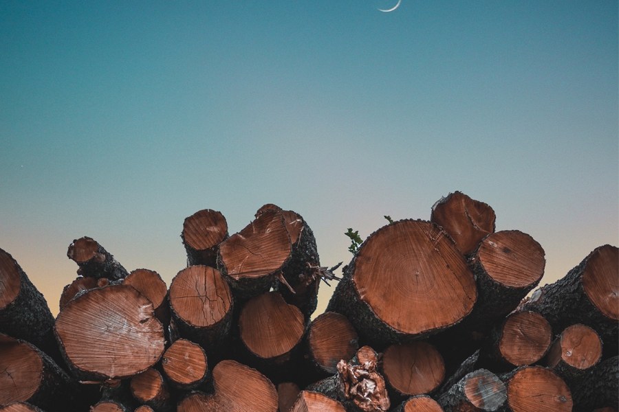 Australian raw timber bulk export